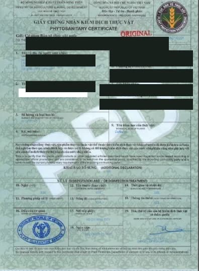 Phytosanitary Certificate